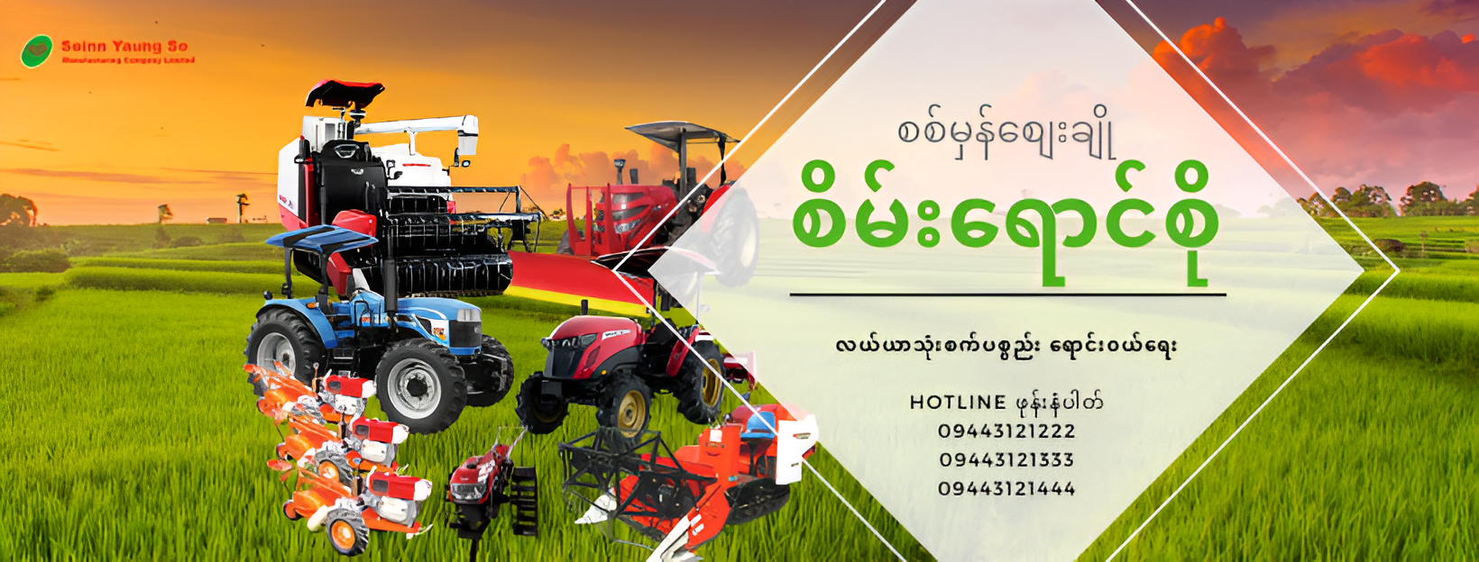 စစ်မှန်စျေးချို စိမ်းရောင်စို